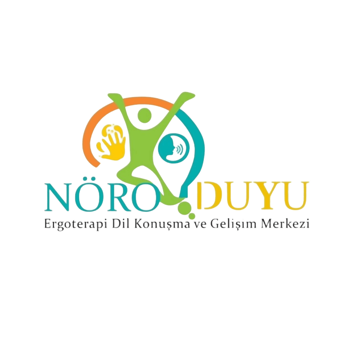 Nöro-Duyu Logo